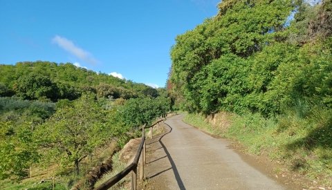 Senderismo en Huelva